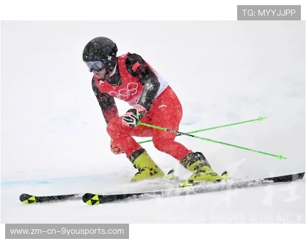 世界高山滑雪赛道生态修复资金申请受理公告，国家高山滑雪中心赛道